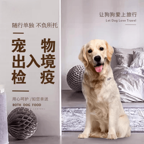 江北区宠物托运到哥伦比亚猫狗宠物入境规定和