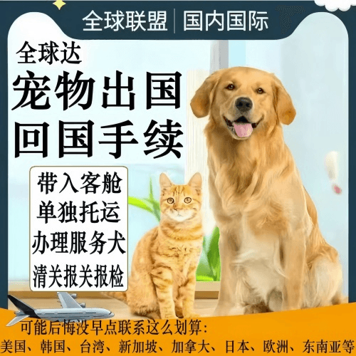 江北区宠物托运到柬埔寨宠物入境规定和要求