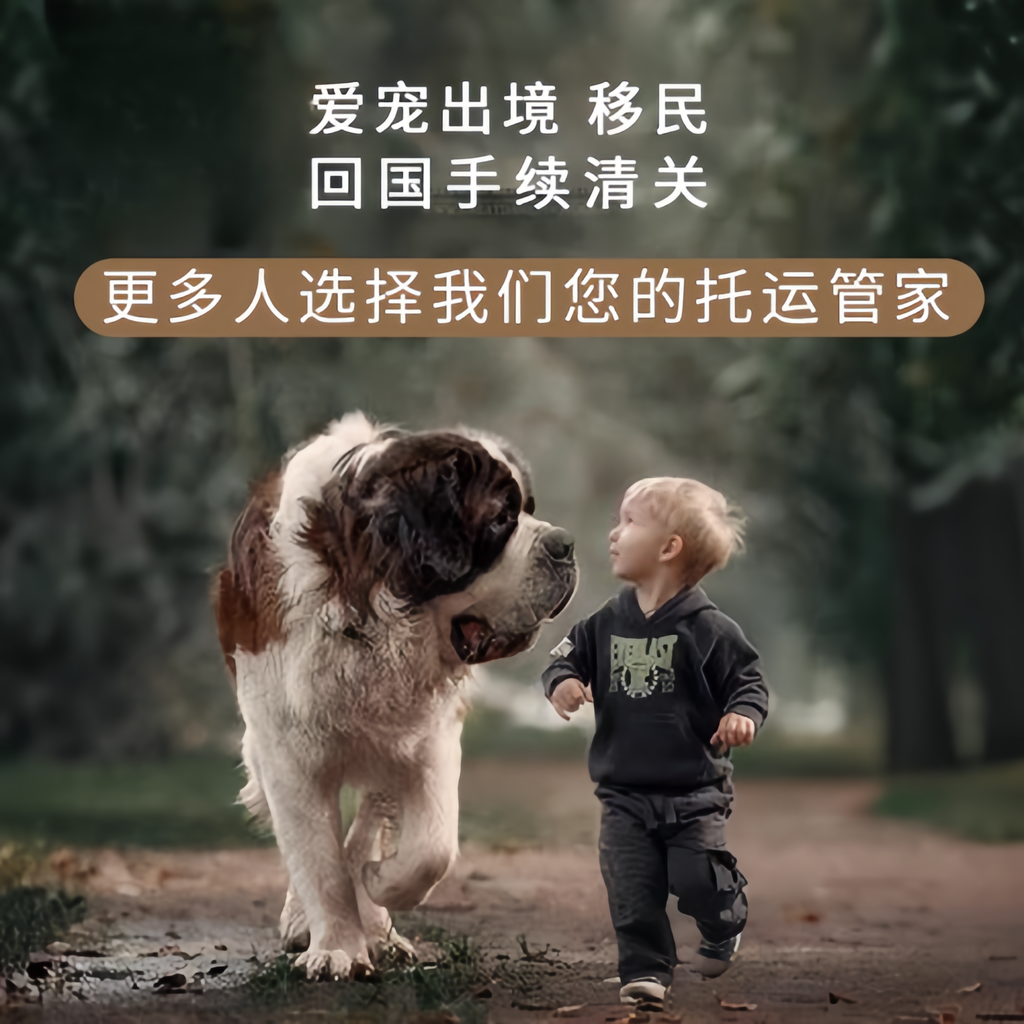 满财江北区宠物全球达宠物托运在遵守入境目的地政策的条件
